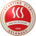 Logo SCS Selongey Tennis